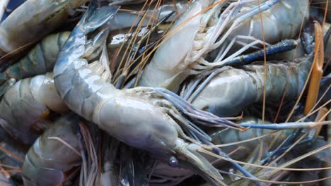 Close-up-of-king-prawn-on-plate-on-table