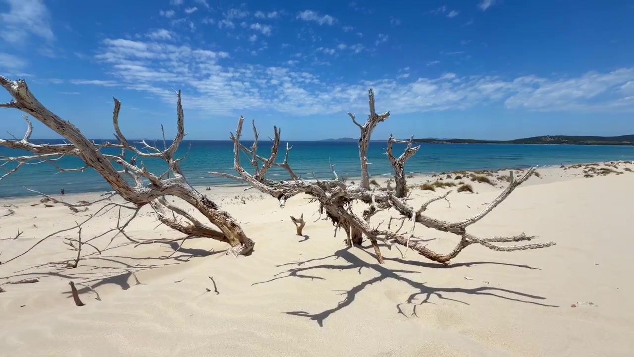 Jævn filmisk bevægelse, der afslører de store hvide strande og turkise farvande ved Porto Pino i det sydlige Sardinien