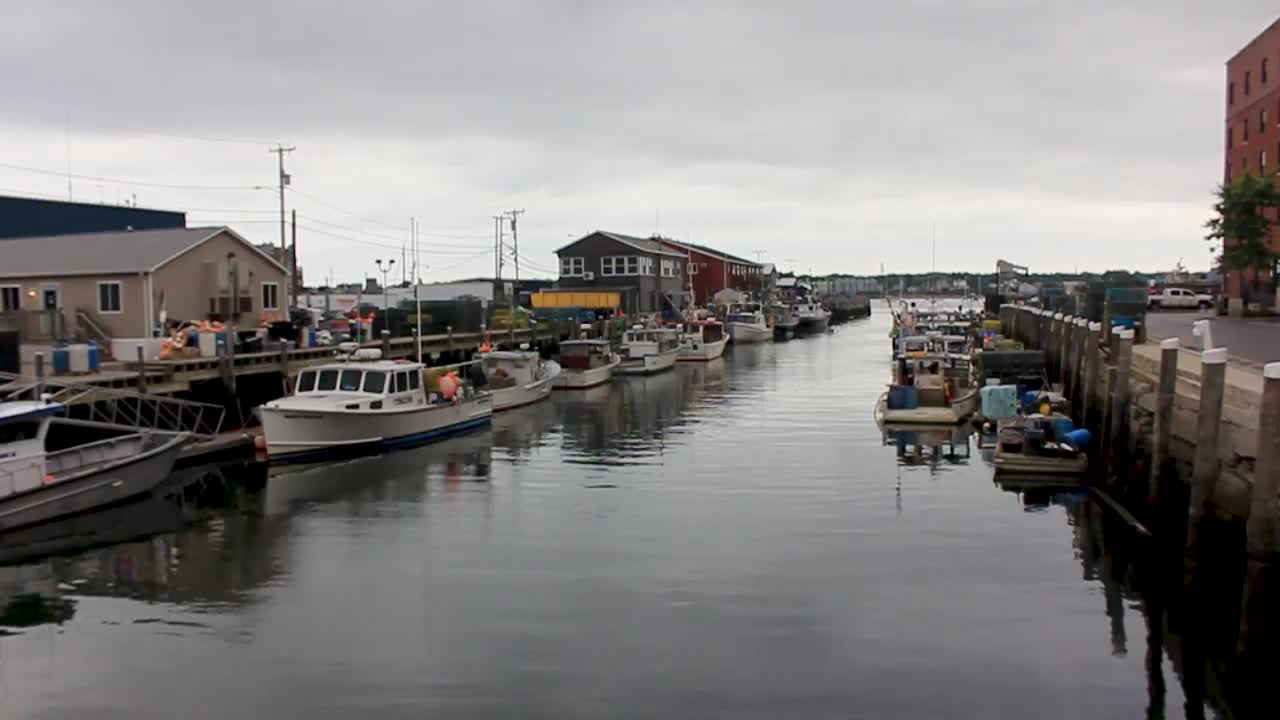 Lobster and fishing boats moored in Portland, Harbor.  Portland, Maine attracts a lot of tourists to it's working harbor.
