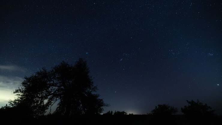 Timelapse di un cielo stellato blu con una costellazione visibile e alberi in primo piano