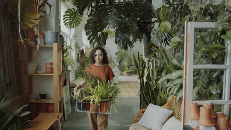 Girl-Bringing-Green-Plants-in-Flower-Shop