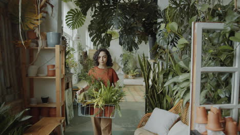 girl bringing green plants in flower shop