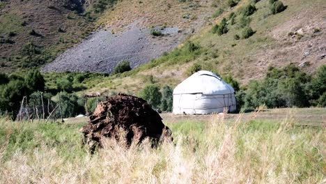 yurt homestay in kyrgyzstan central asia