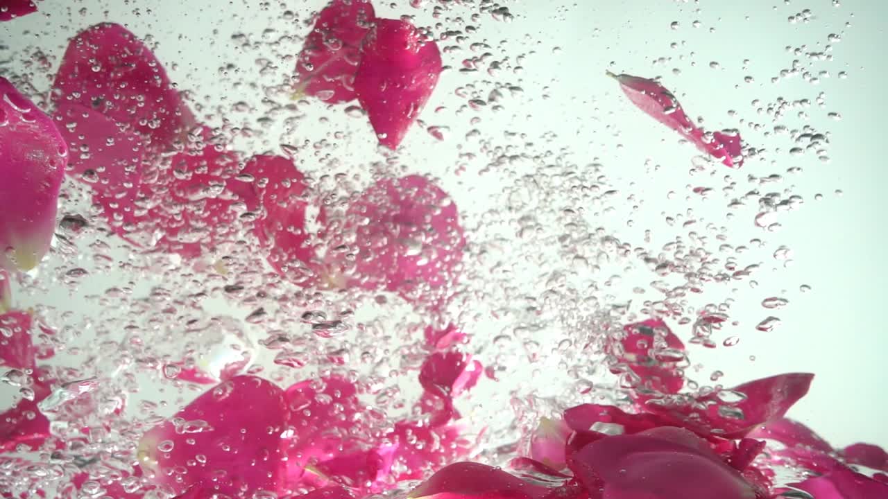 Petali di rose cadono nell'acqua. Sfondo. Movimento rallentato.