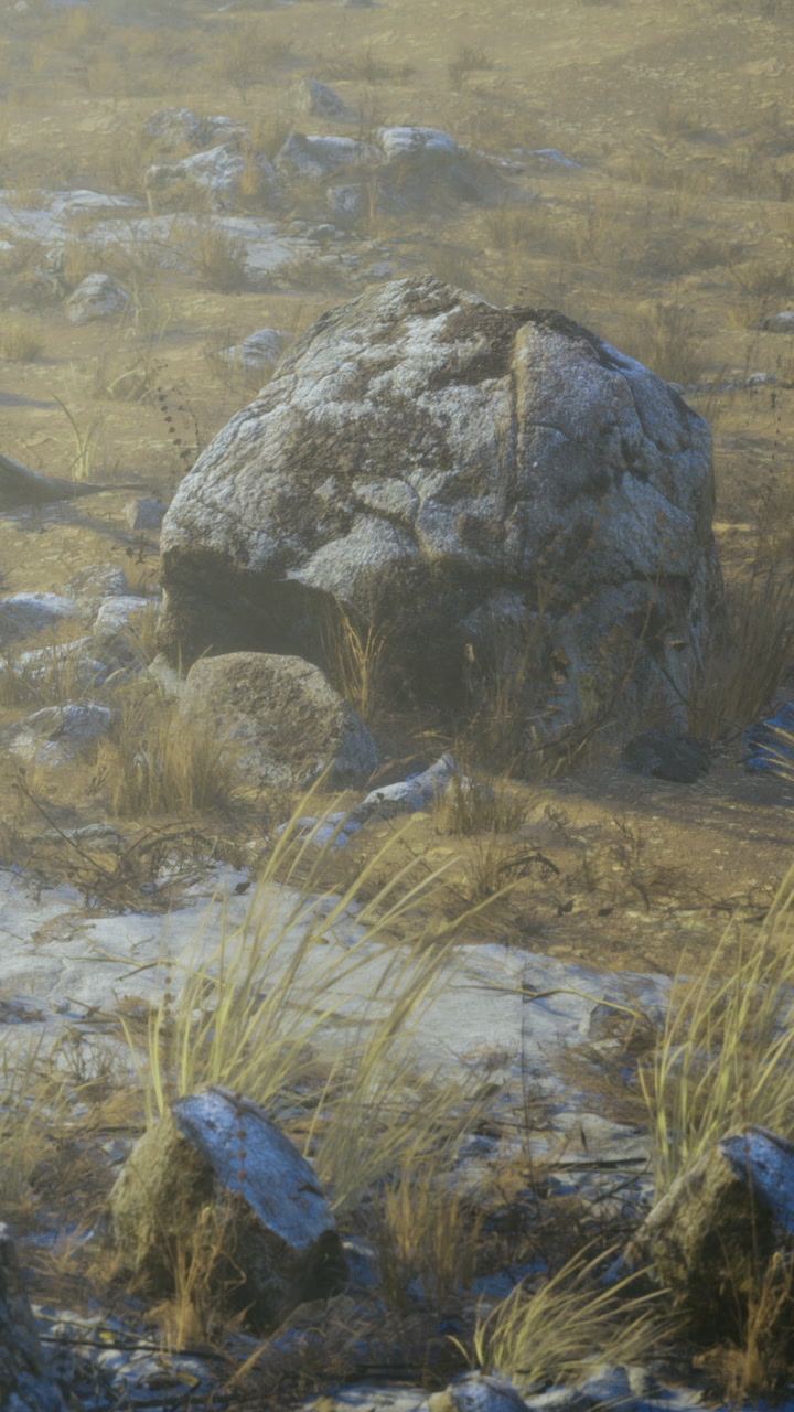 Large rock sits on dry ground surrounded by grass and small stones