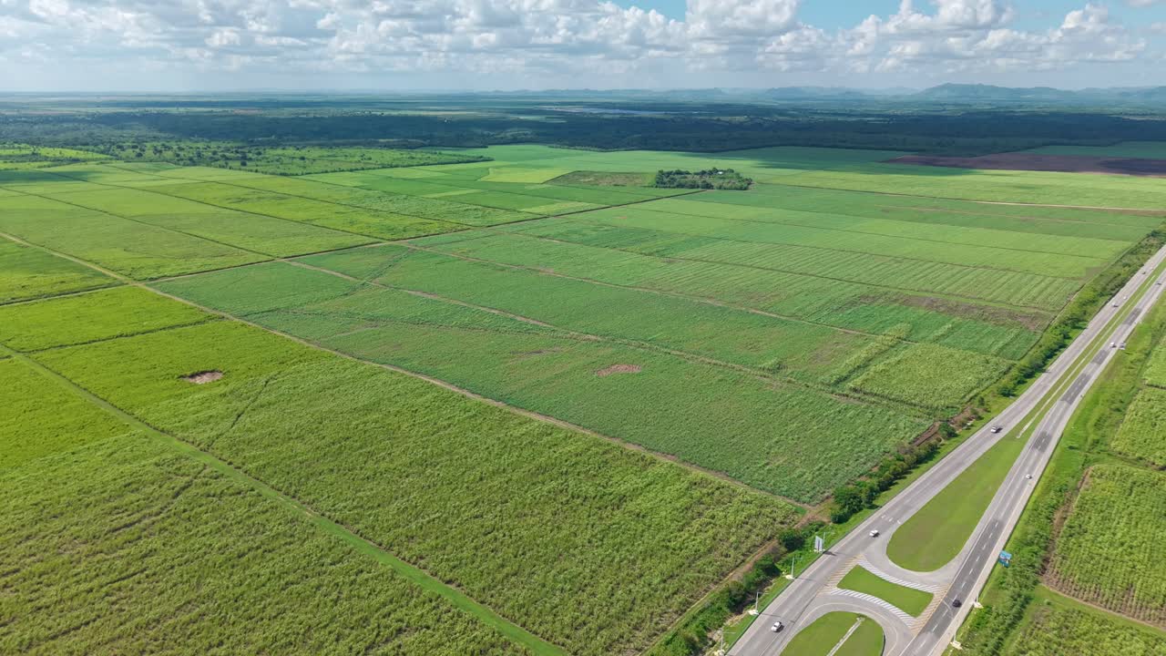 Vast sugarcane fields next to highway, agriculture and transportation in rural Dominican Republic landscape. Aerial backward