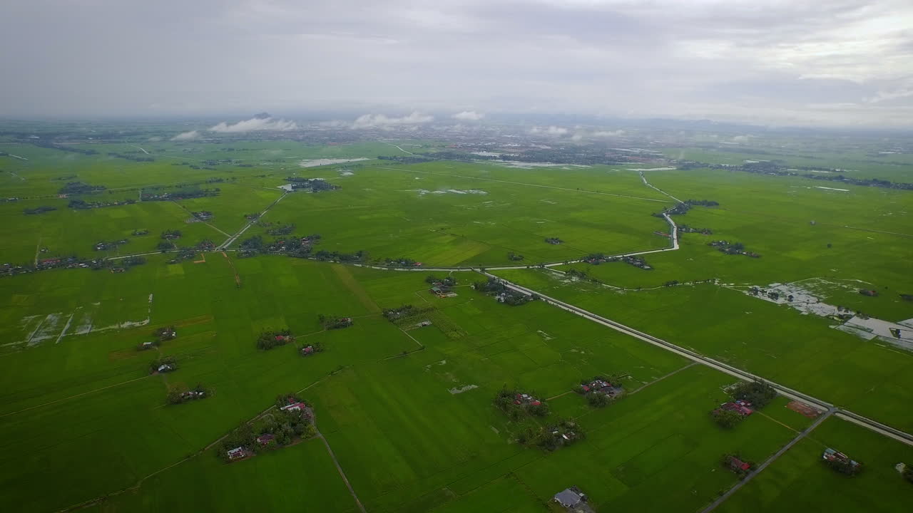 해변의 농업 농지에서 푸른 논 위를 날다