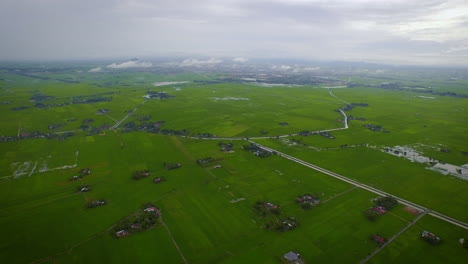 Flying-above-green-paddy-fields-on-agricultural-farmland-at-seaside
