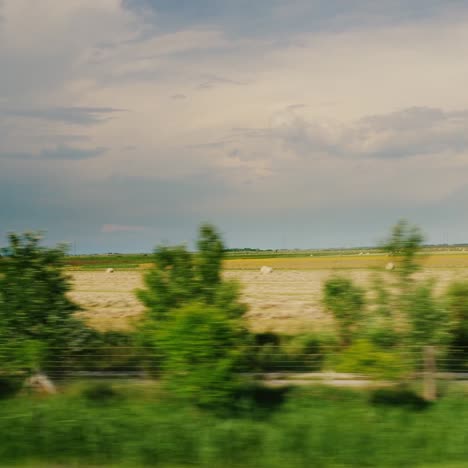 el campo de hungría visto desde la ventana de un automóvil en movimiento rápido 1