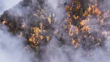 Nebel,-Schnee-Und-Herbstfarben-Aus-Einem-Drohnenvideo-Von-Oben-Nach-Unten