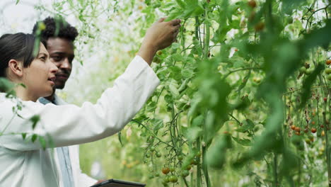 Ella-Tiene-Una-Excelente-Experiencia-En-La-Ciencia-De-Las-Plantas