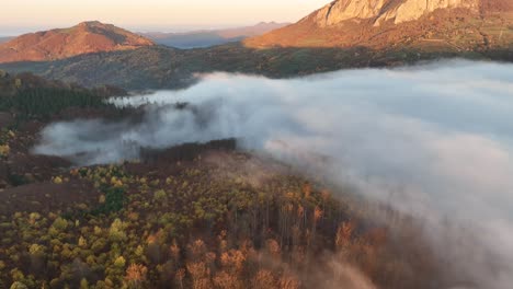 flying above the foggy forest