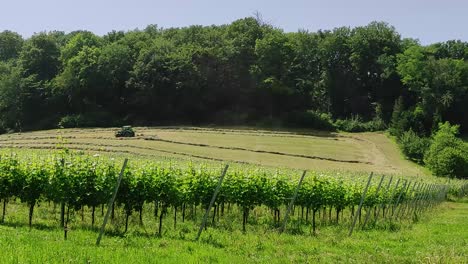 a tractor on a field with hay, collecting the harvest