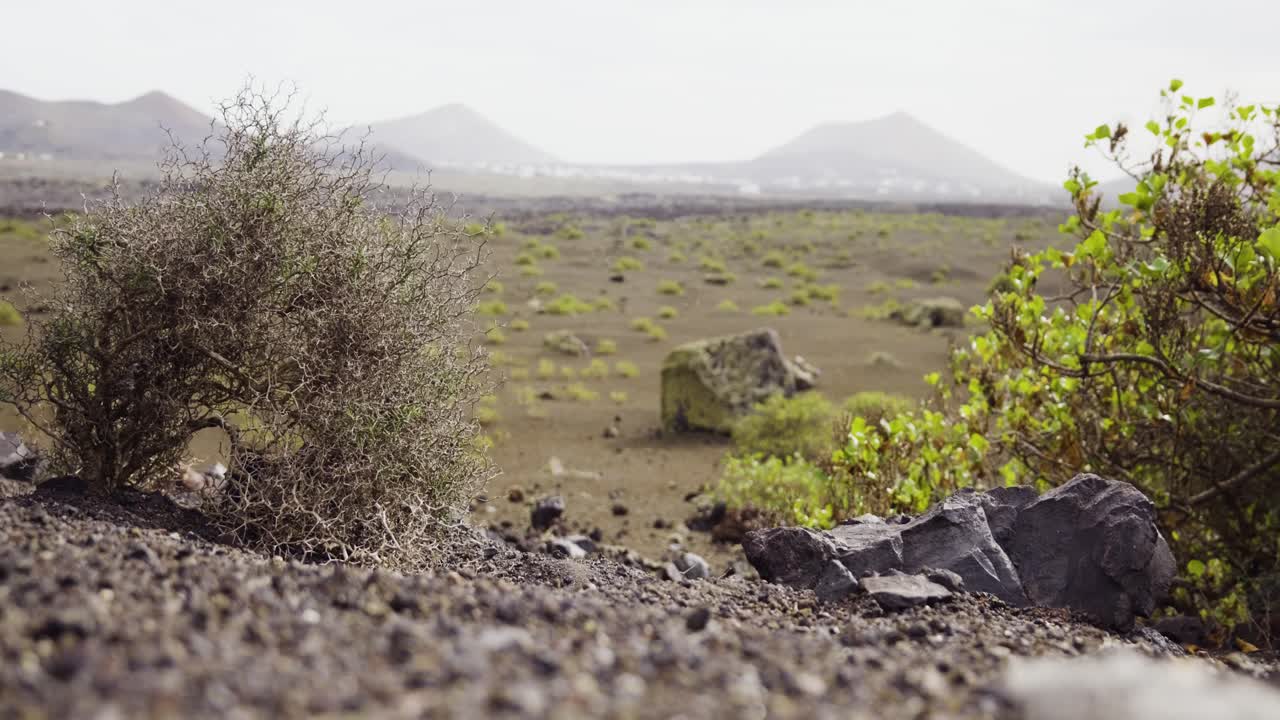 paisaje volcánico con escasa vegetación