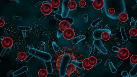 Animation-of-blood-and-bacteria-cells-on-black-background