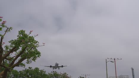 a boeing 787 dreamliner approaches the runway during landing at los angeles international airport over approach lights and trees