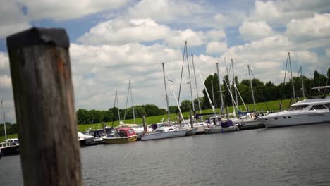 seagull flies over a small port in the city of north germany in germany with many small ships