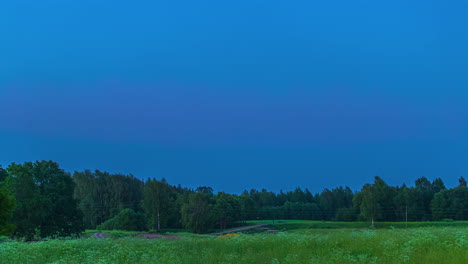 green field with trees under a colorful sky at sunset