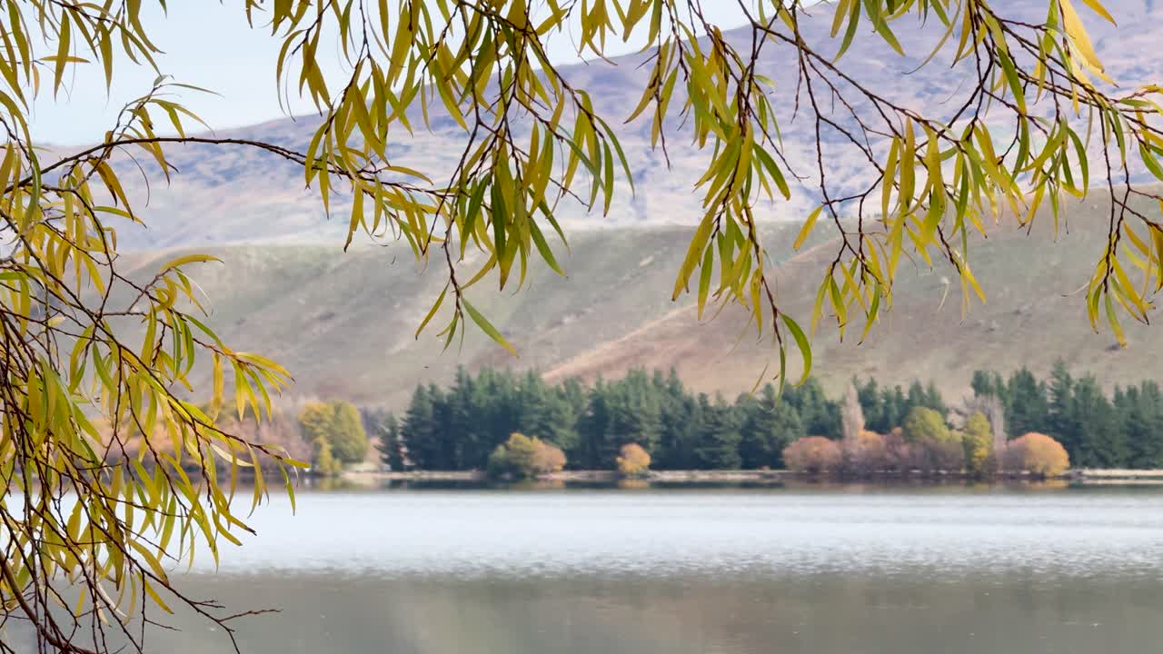 Serene view of Lake Dunstan framed by autumn leaves, showcasing calm waters and distant hills under soft lighting