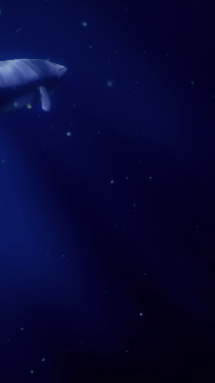 Baleia nada no oceano profundo rodeada por estrelas no céu noturno