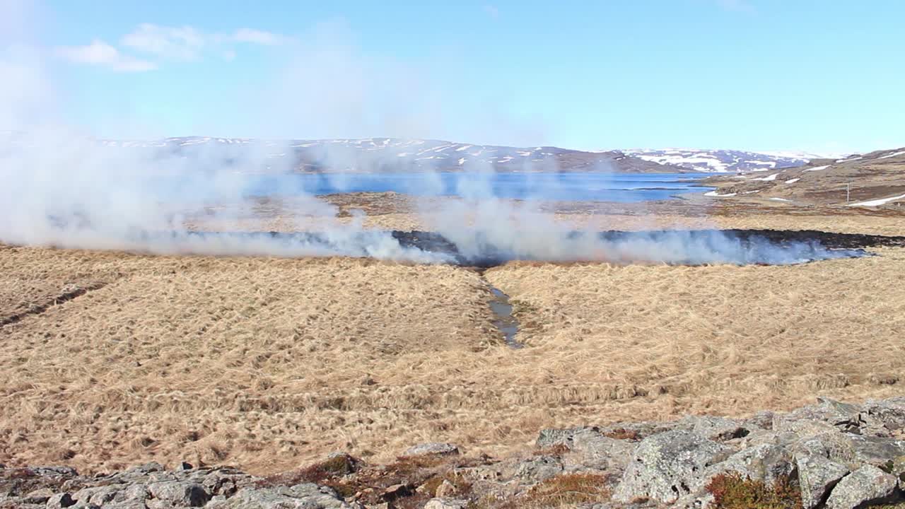 сжигание сухой желтой травы