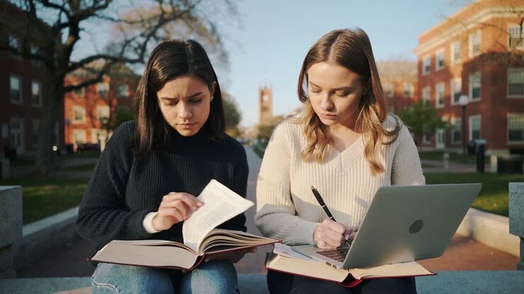 Video verticale: Studenti in maglione che indicano, sfogliano pagine, prendono appunti e studiano nel cortile universitario.
