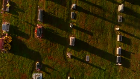 quaint cemetery and church in a rotating and climbing areal shot on a beautiful fall morning at sunrise