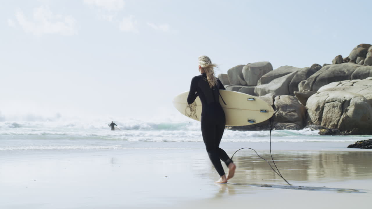 조류와 함께 타는 시간