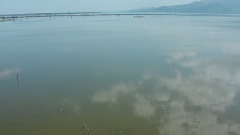 aerial clips filmed at lake kerkini - mount beles in northern greece