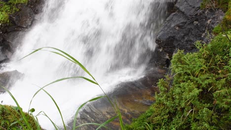 Primer-Plano-De-Una-Cascada-Salpicada-Cayendo-Por-La-Montaña-Rodeada-De-Plantas-Verdes-En-El-Bosque