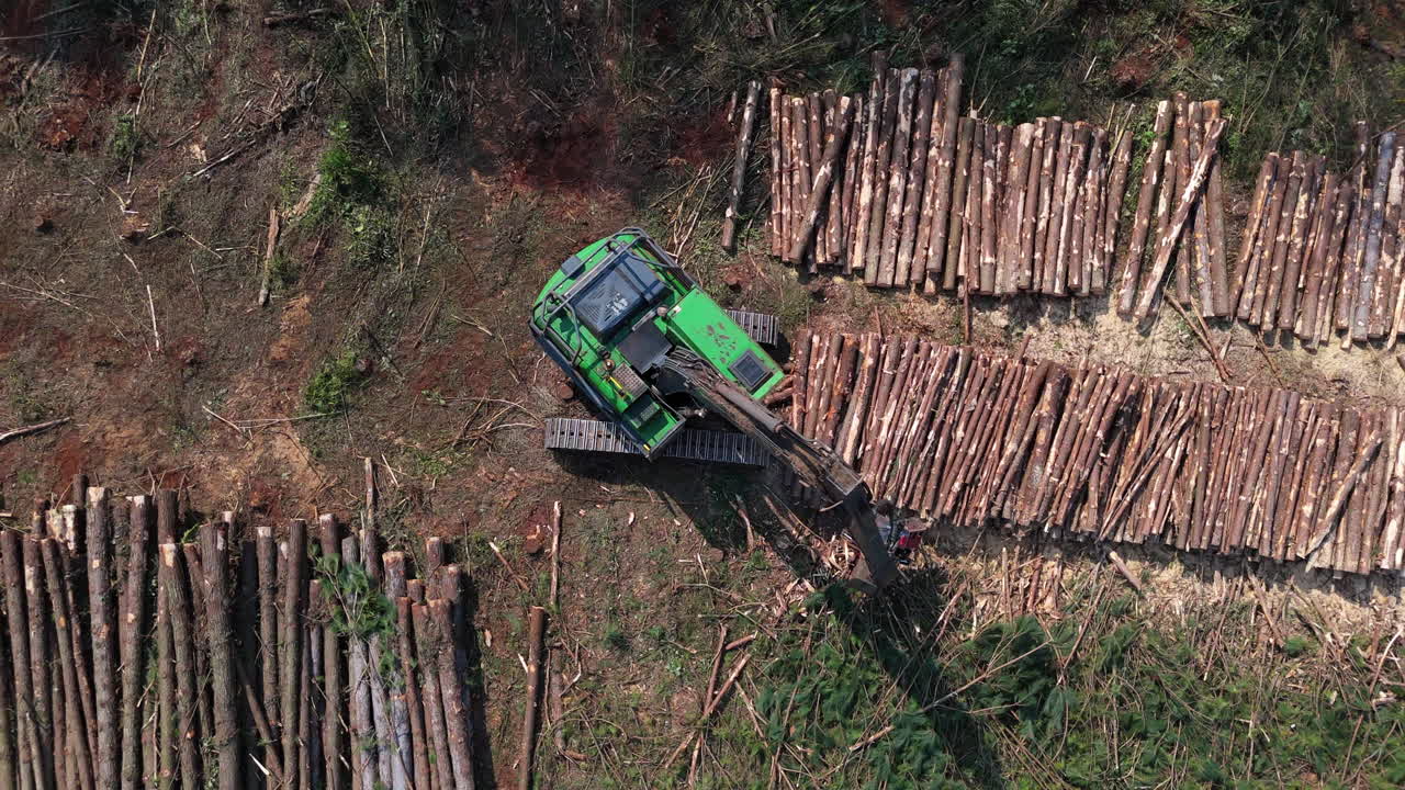 Forestry green machine arranging cut tree trunks in a deforested area, showcasing the process of timber harvesting and its environmental impact, Top down drone shot
