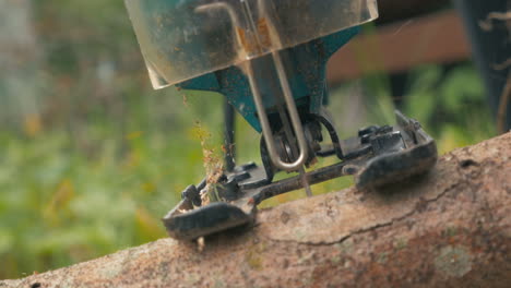 chainsawing small log