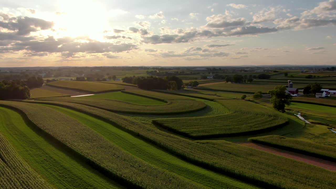 Descending aerial above Lancaster County Pennsylvania corn and alfalfa fields during summer sunset