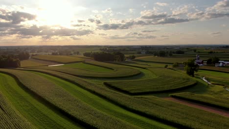 descending aerial above lancaster county pennsylvania corn and alfalfa fields during summer sunset