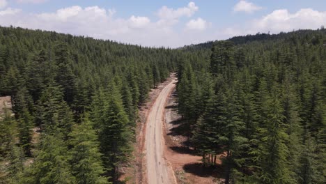 Mountain-Road-Drone-View