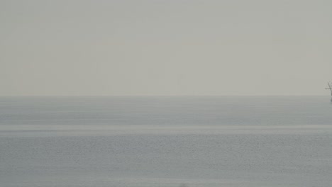 ferdinand magellan nao victoria carrack boat replica sails in the mediterranean with a bird flying by at sunrise in calm sea entering the frame in slow motion 60fps