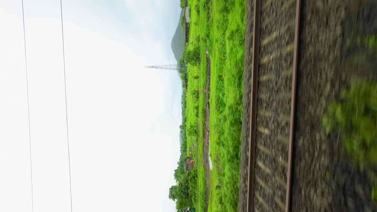 vista de la vegetación desde la ventana del tren