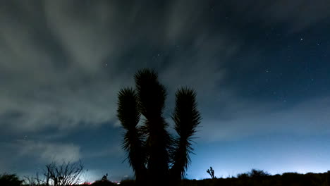 Der-Nachthimmel-Der-Wüste-Ist-Hell-Mit-Der-Milchstraße,-Während-Sich-Die-Erde-Dreht---Zeitraffer-Mit-Einem-Joshua-Tree-Im-Vordergrund