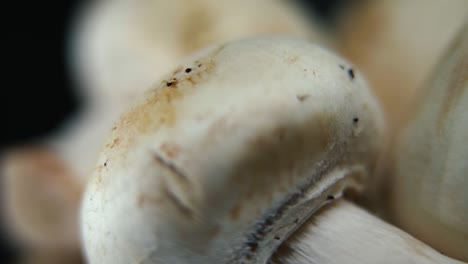 macro crispy video of a pile of mushrooms, detailed raw champignons, white caps, on a rotating stand, smooth movement, slow motion 120fps