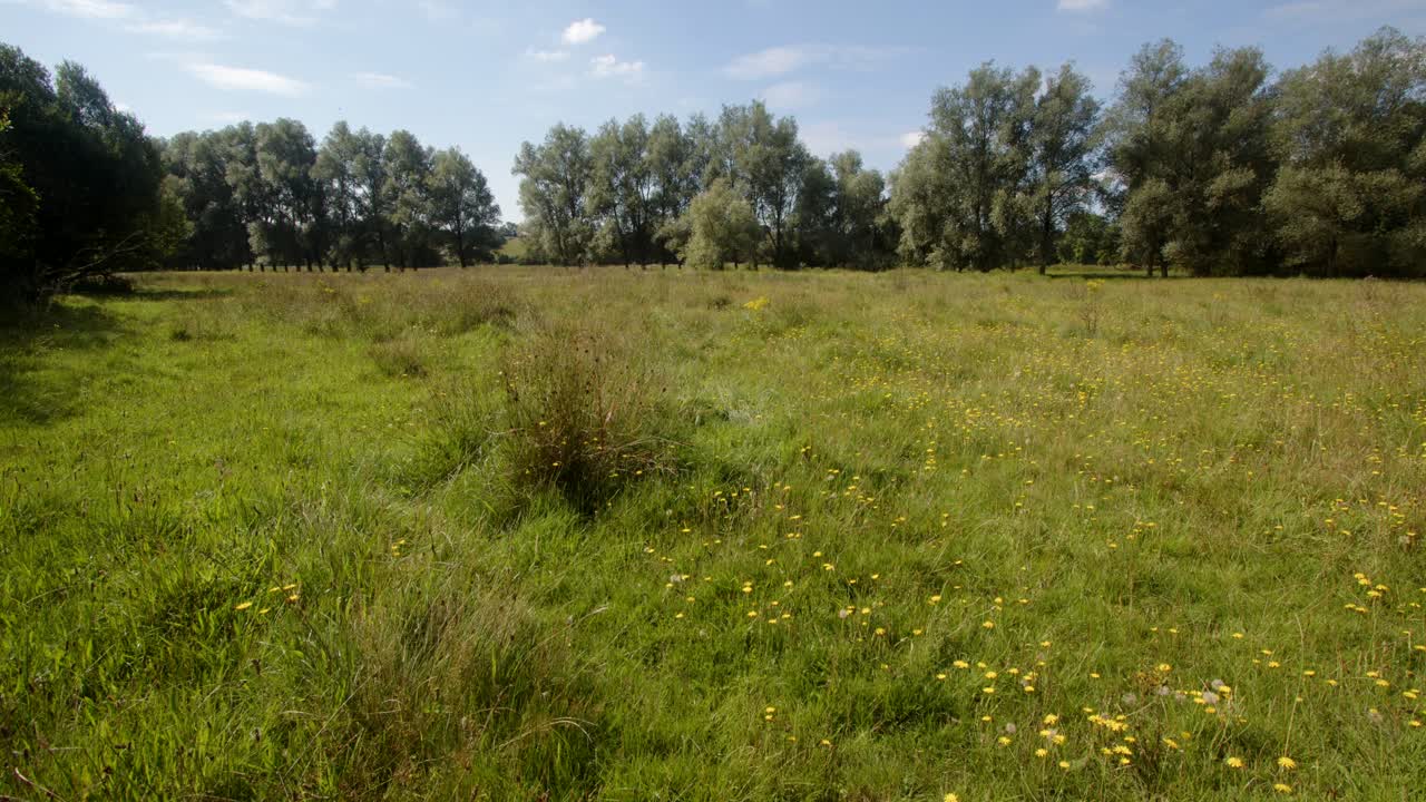toma extra ancha de un prado ribereño en lyny junto al río wensum