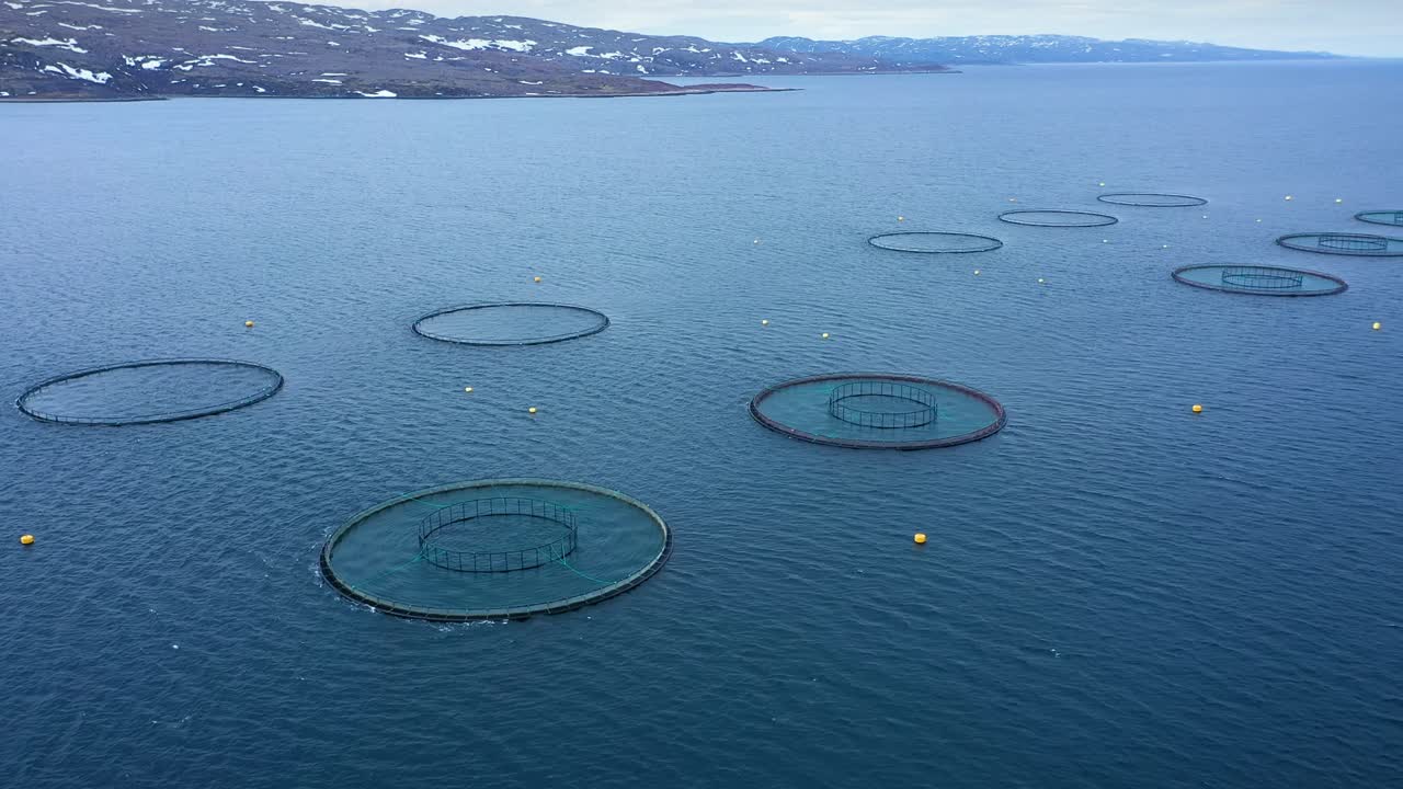 노르웨이에서 연어  ⁇ 시를 하는 공중 촬영