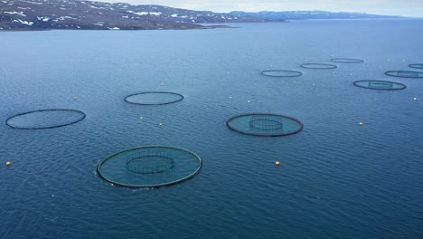 Aerial-footage-Farm-salmon-fishing-in-Norway