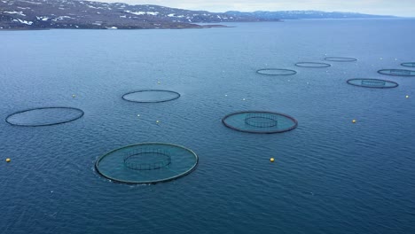 aerial footage farm salmon fishing in norway