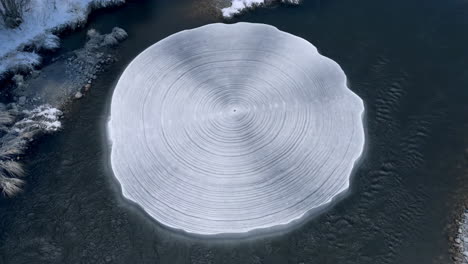 large circular ice disc floating in a winter river