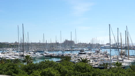 sailboats and yachts at the marina port de mallorca in palma, spain on a sunny summer day