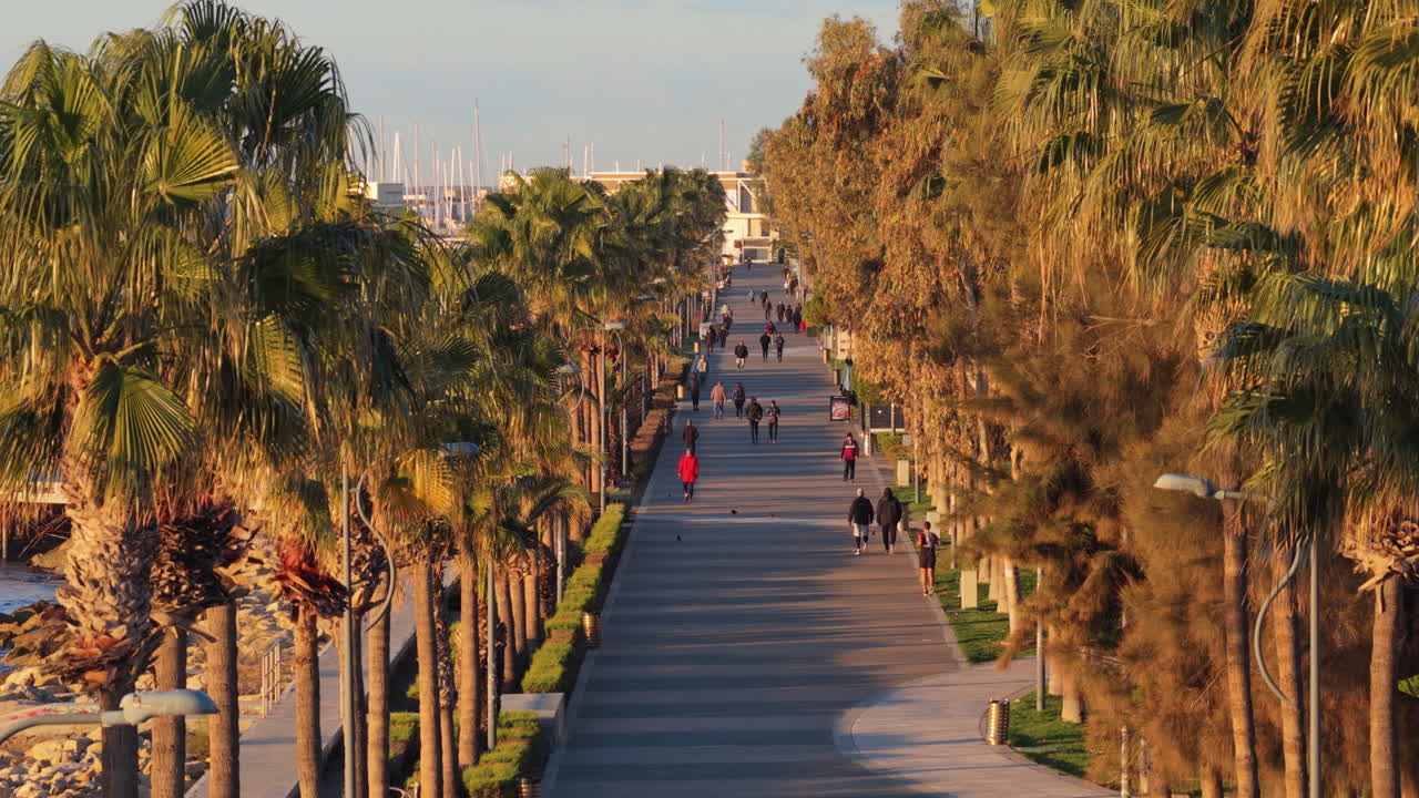 Vista aerea con drone di persone che camminano lungo un sentiero fiancheggiato da palme vicino alla costa di Limassol