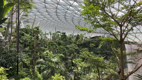 singapore jewel - tree canopy geometrical glass ceiling - indoor waterfall vortex to far right at changi airport