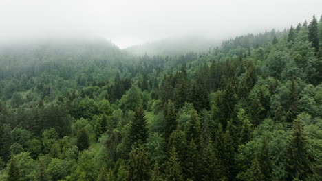 Flying-Over-Lush-Deciduous-Forest-Covered-With-Misty-Clouds-Near-Bakuriani,-Georgia