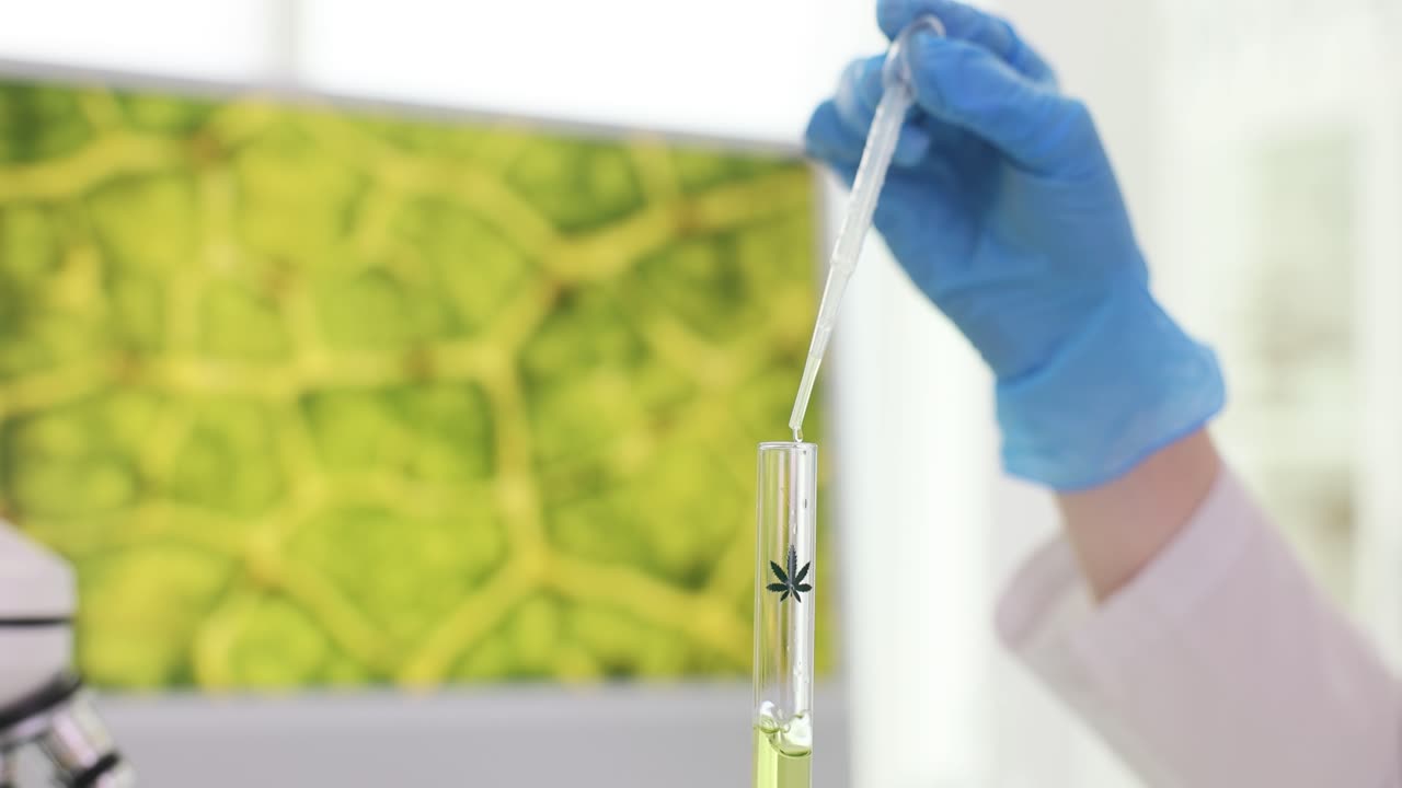 Gloved hand drops liquid into test tube for lab analysis