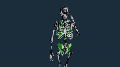 skeleton walking and talking on cell phone